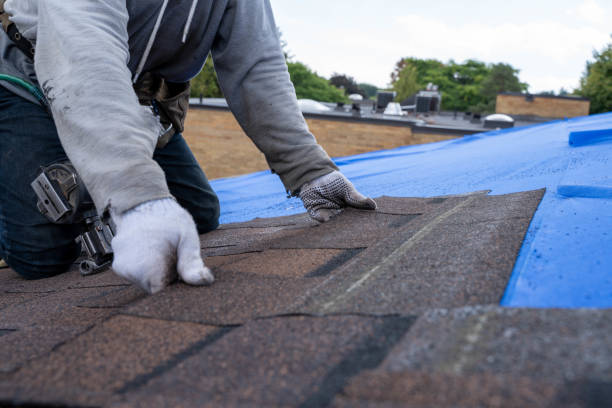 Best Flat Roof Repair Services  in Tton, IL