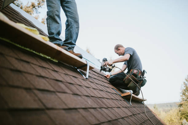 Best Residential Roofing Contractor  in Tton, IL